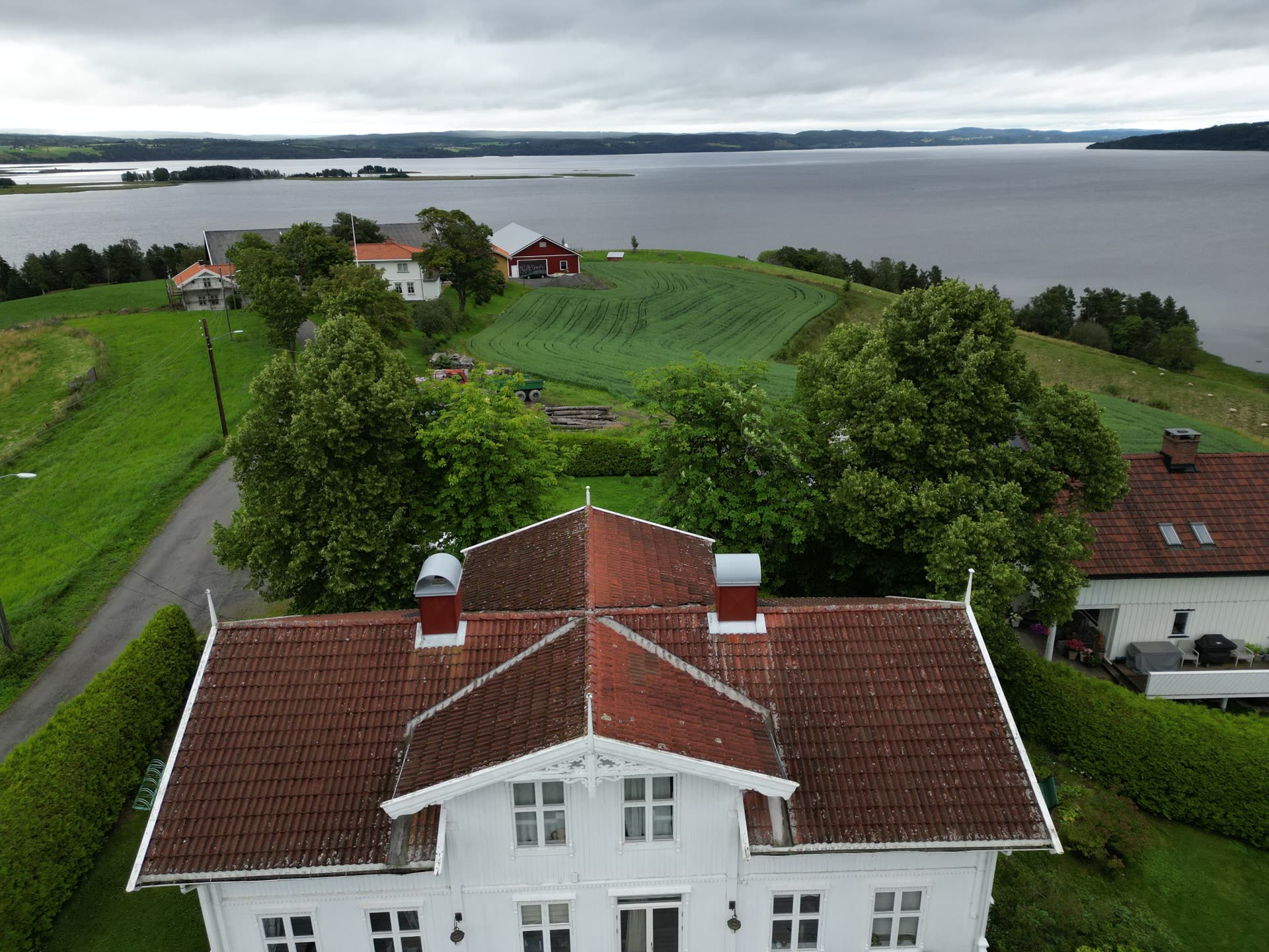 Tak med mose og alger før behandling